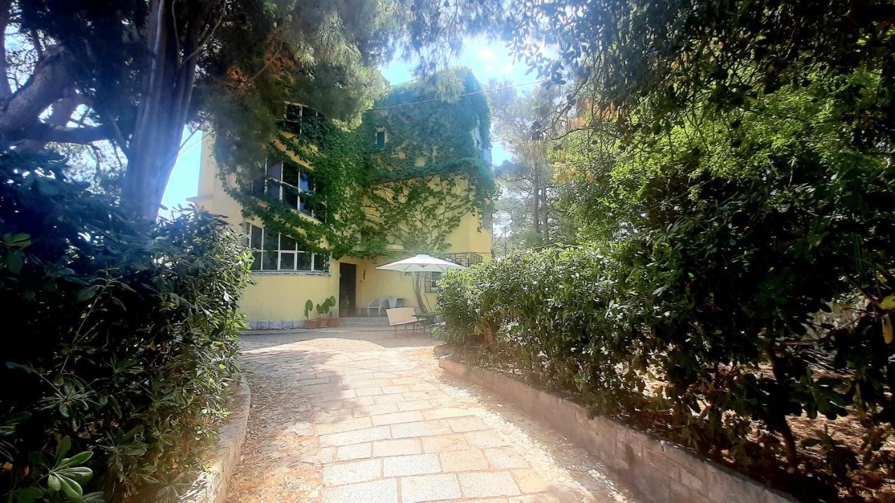 Old Captain'S Apartments - In A Pine Wood By The Sea And Tennis Courts Split Exterior photo