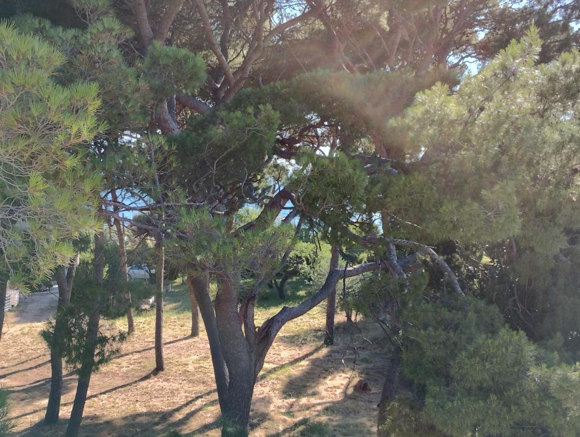 Old Captain'S Apartments - In A Pine Wood By The Sea And Tennis Courts Split Exterior photo